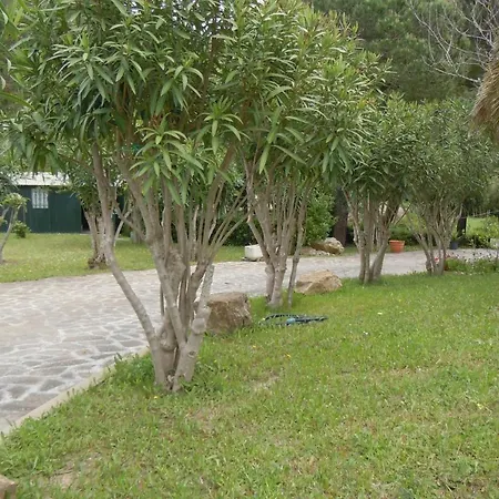 017 Casa Gli Ulivi Villa
