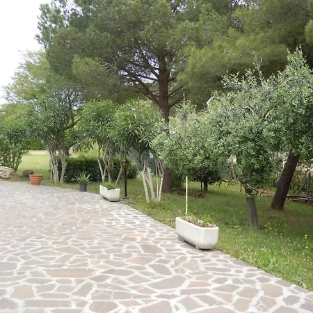 017 Casa Gli Ulivi Procchio (Isola d'Elba)